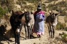 2011 Bolivia