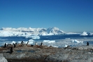 Península Antàrtica