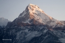 Annapurnes