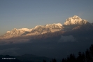 Annapurnes