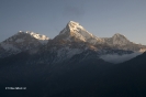 Annapurnes