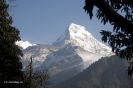 Annapurnes