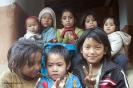 Annapurnes