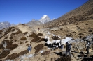 Vall del Khumbu
