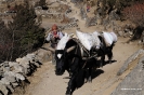Vall del Khumbu