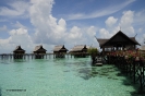 2010 Borneo