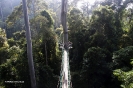 2010 Borneo