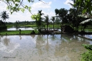 2010 Borneo