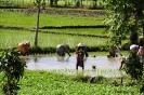 2010 Borneo