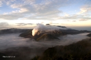 2010 Borneo