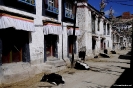 Tibet