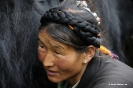 Tibet