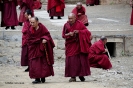Tibet