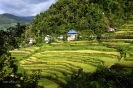 Filipines_2