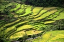 Filipines_3