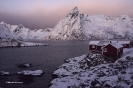 Illes Lofoten_11