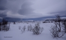 Illes Lofoten_21
