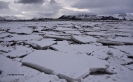 Illes Lofoten_24