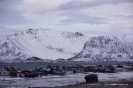 Illes Lofoten_42