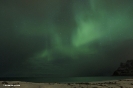 Illes Lofoten_46