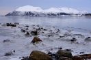 Illes Lofoten_4