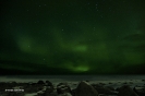 Illes Lofoten_50