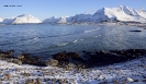 Illes Lofoten_59