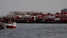 Illes Lofoten_66