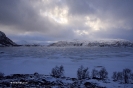 Illes Lofoten_76