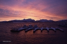 Illes Lofoten_78